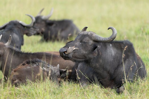 Ekoturistika s KST Pršany: Spoločne chránime prírodu