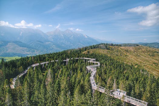 Najkrajšie turistické trasy na Slovensku: Príručka pre nadšencov